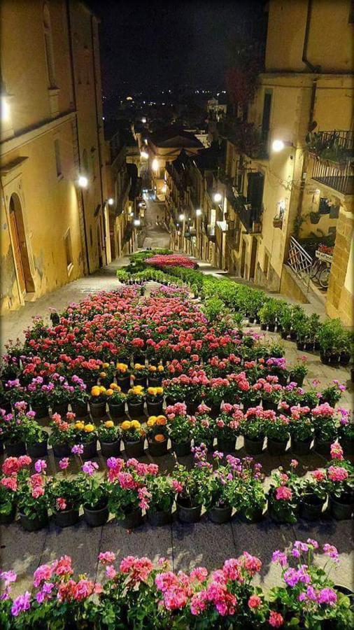 B&B Con Cucina La Ninfea Caltagirone Buitenkant foto